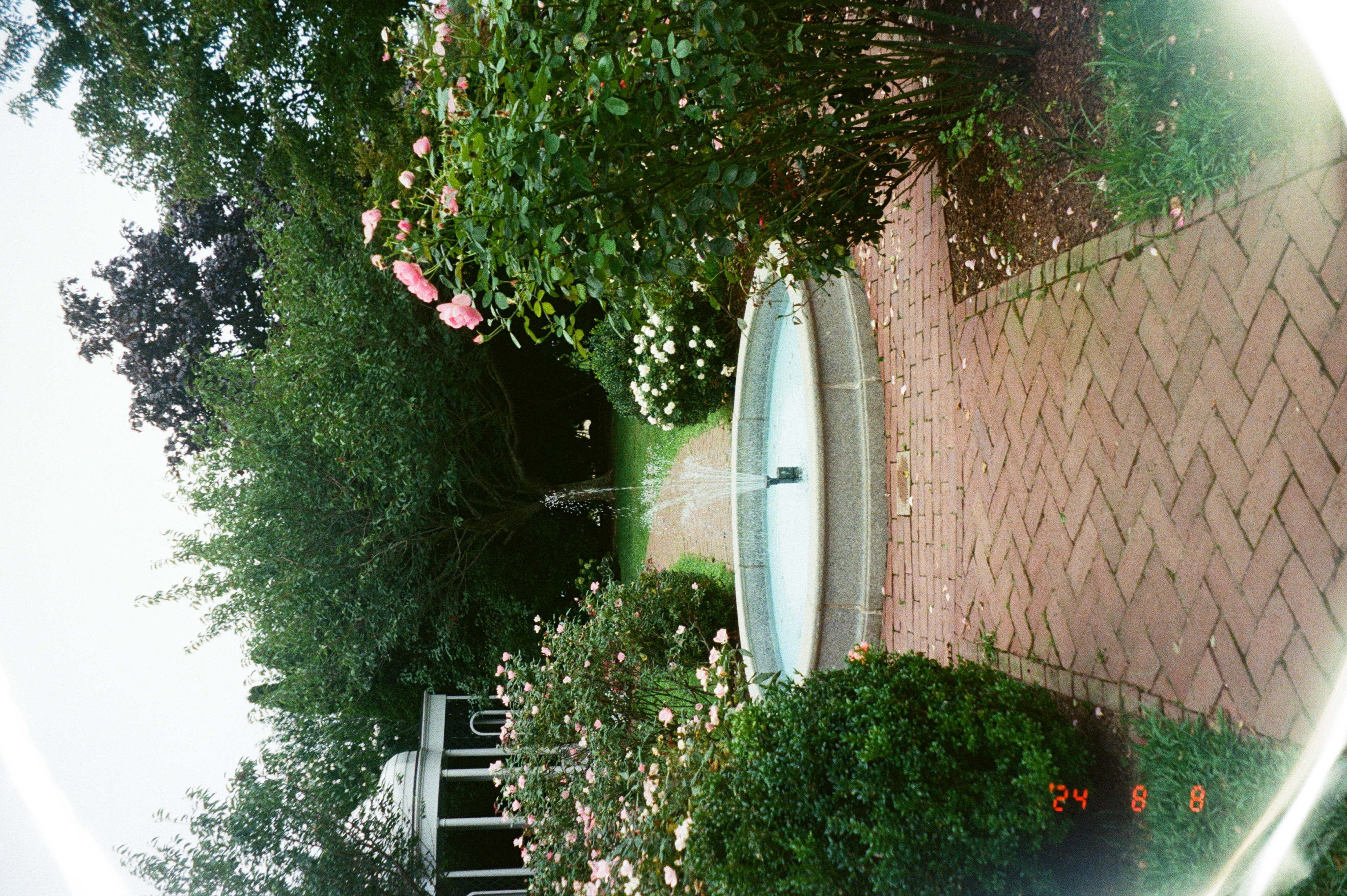 fountain