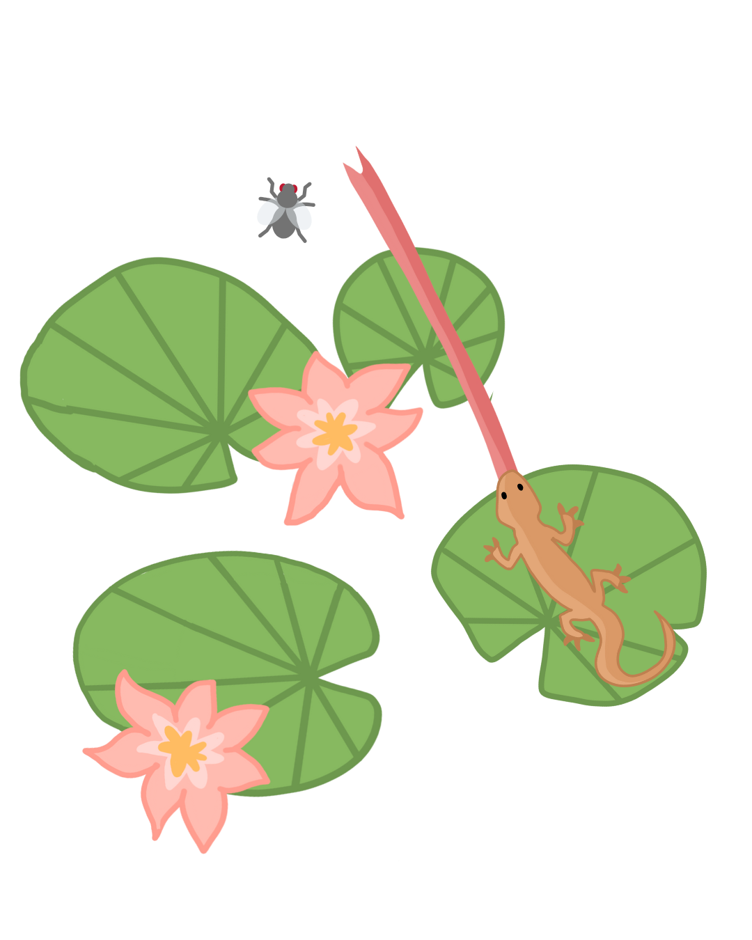 Hungry Chameleo